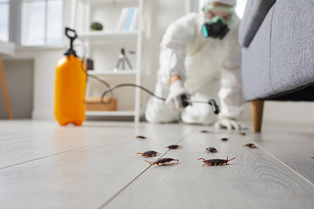 Commercial Kitchen Cockroach Control in Glenville